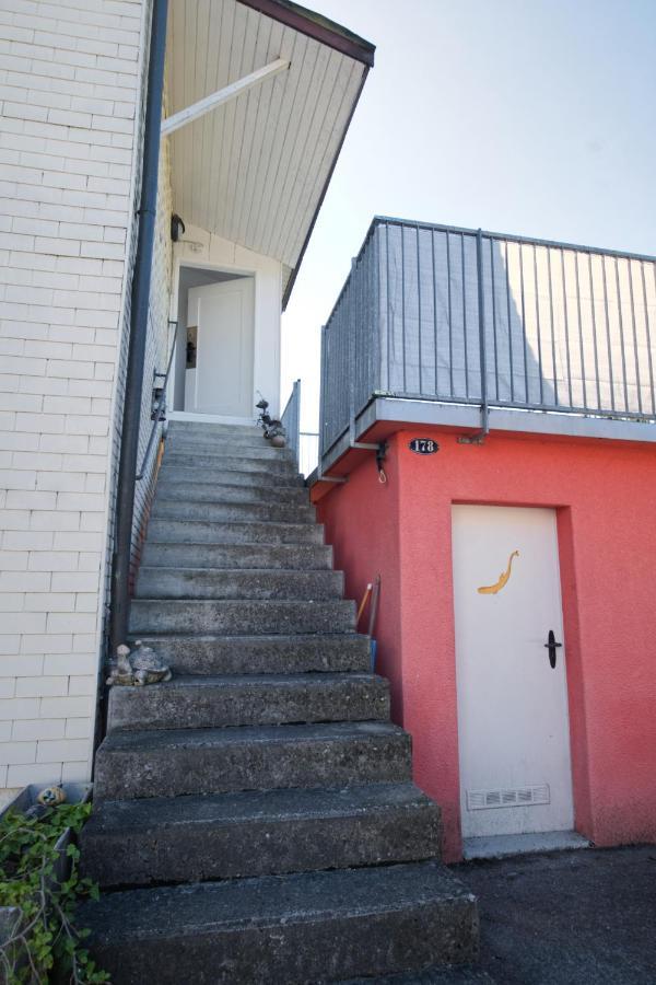 Lake Getaway Apartment With Private Entrance, Right On The Lake Constance Cycle Path, Barbecue Area, Free Wifi, Netflix And Free Bikes Salmsach Luaran gambar